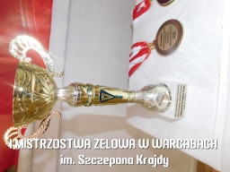 I Mistrzostwa Zelowa w Warcabach im. Szczepana Krajdy - OSP Łobudzice, 2021 rok
